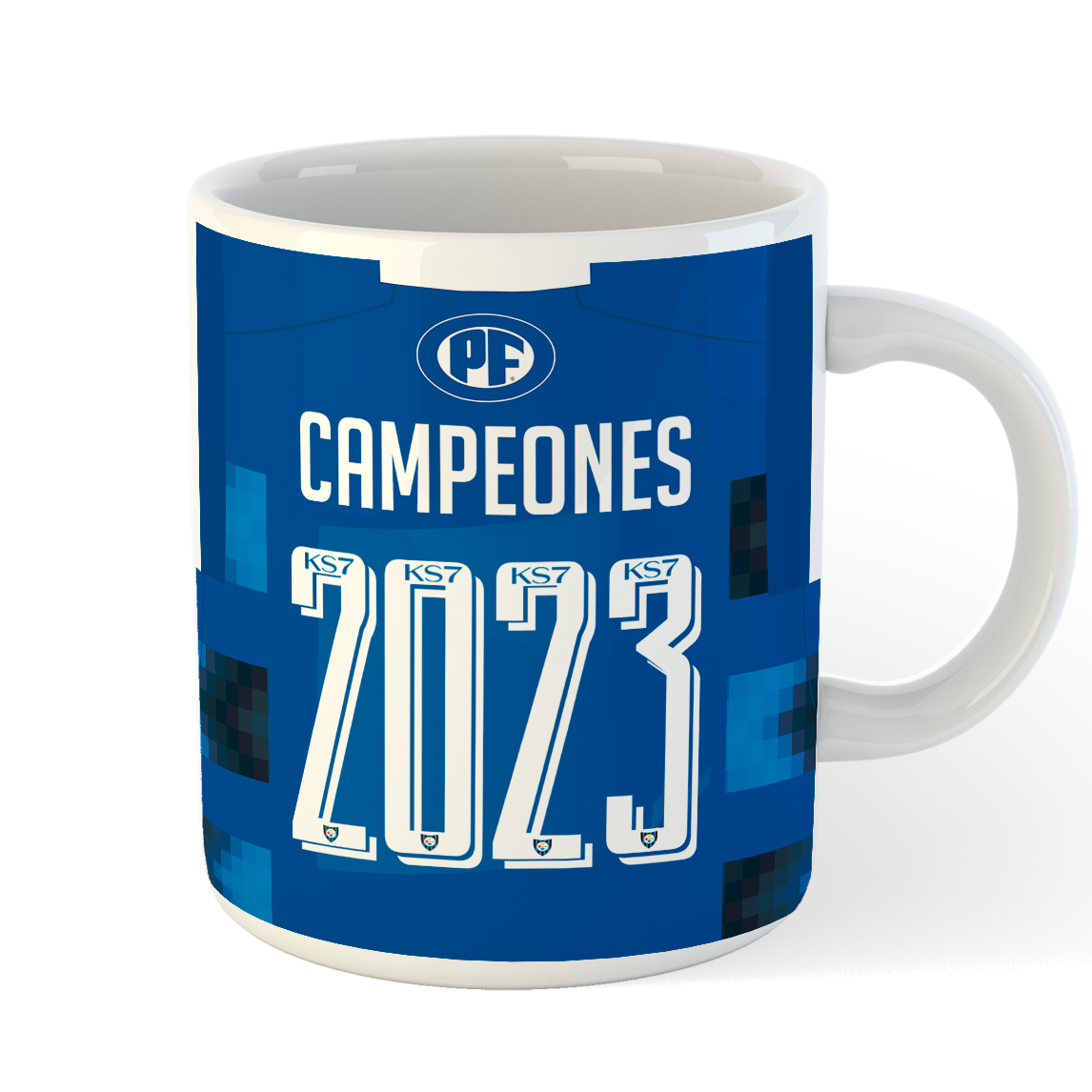 TAZA HUACHIPATO CAMPEÓN 2023